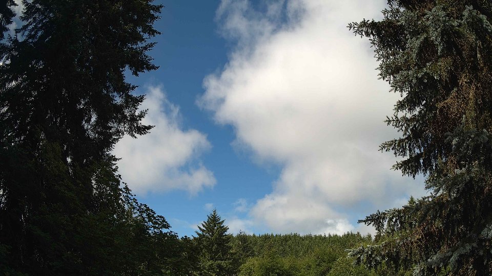 Pacific Northwest skyline timelapse frame from Jun 26th, 2026 at 10:00 AM