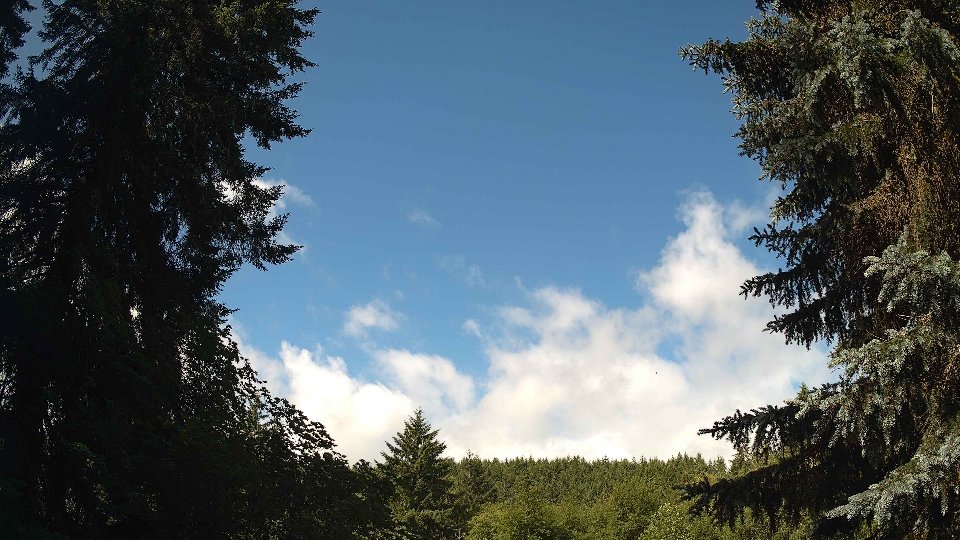 Pacific Northwest skyline timelapse frame from Jun 26th, 2026 at 10:15 AM