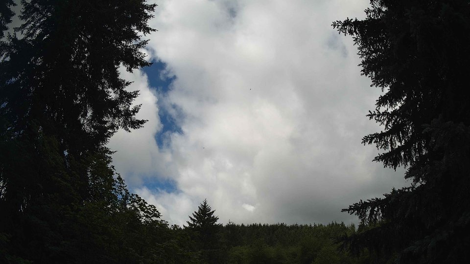 Pacific Northwest skyline timelapse frame from Jun 26th, 2026 at 10:30 AM