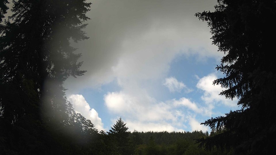 Pacific Northwest skyline timelapse frame from Jun 26th, 2026 at 11:00 AM