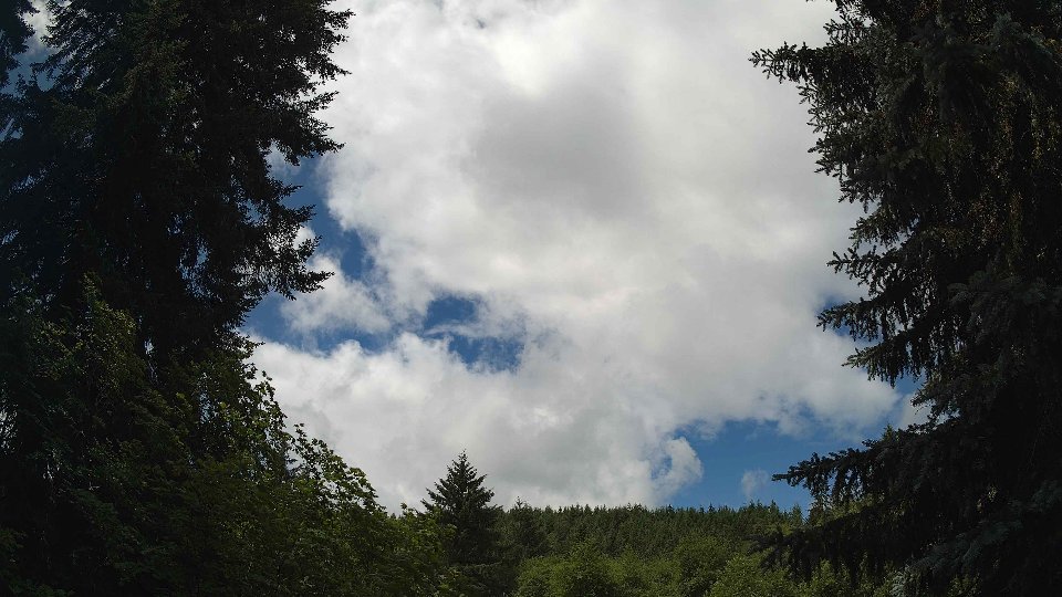 Pacific Northwest skyline timelapse frame from Jun 26th, 2026 at 11:30 AM