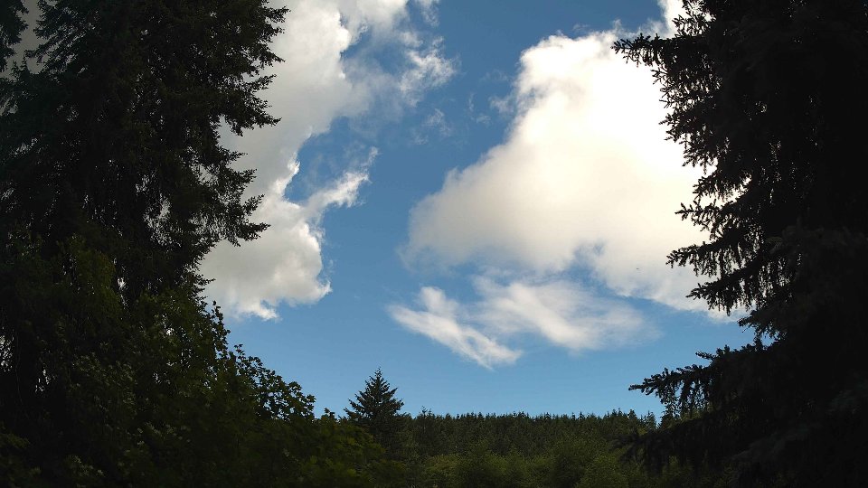 Pacific Northwest skyline timelapse frame from Jun 26th, 2026 at 11:45 AM