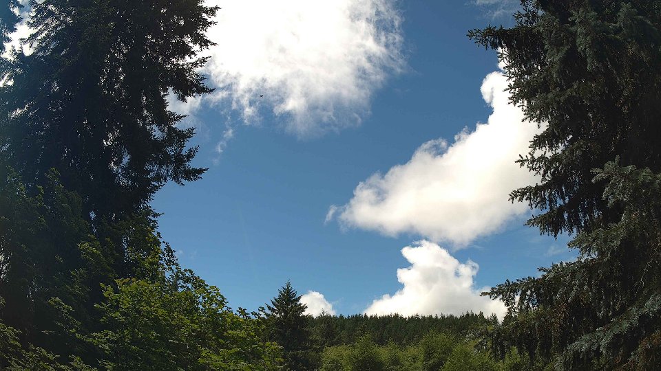 Pacific Northwest skyline timelapse frame from Jun 26th, 2026 at 12:15 PM
