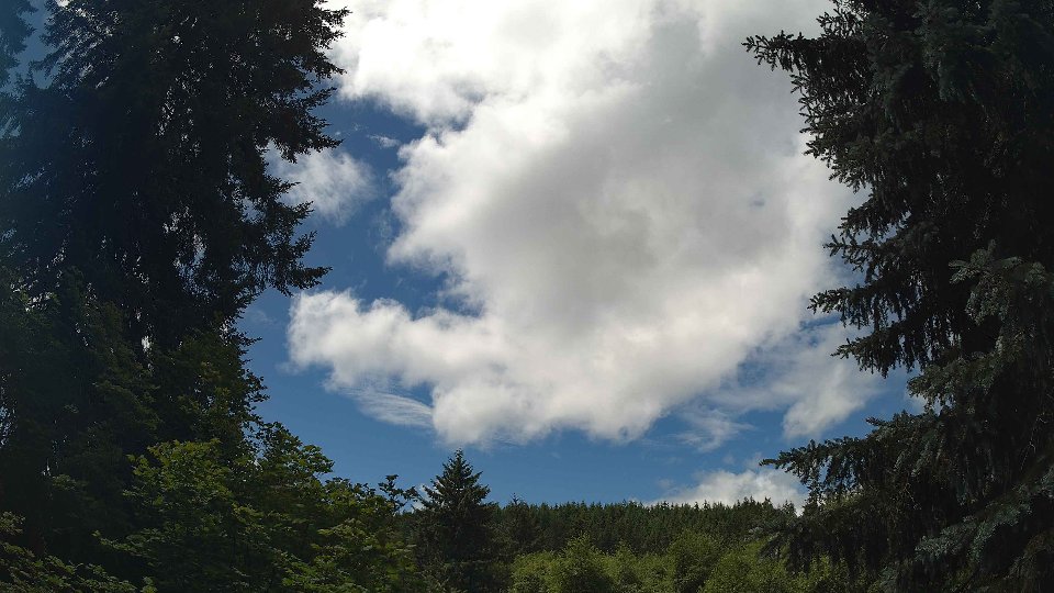 Pacific Northwest skyline timelapse frame from Jun 26th, 2026 at 12:30 PM