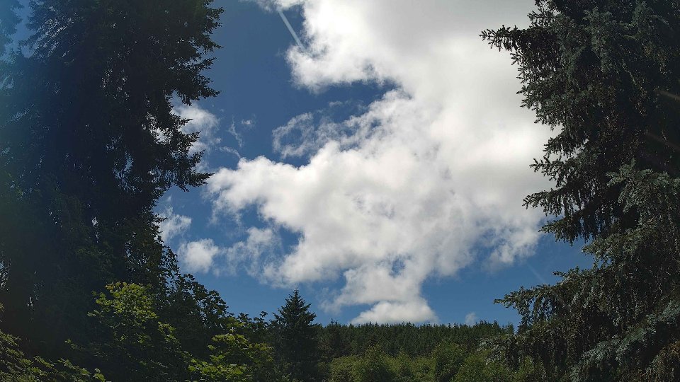 Pacific Northwest skyline timelapse frame from Jun 26th, 2026 at 12:45 PM
