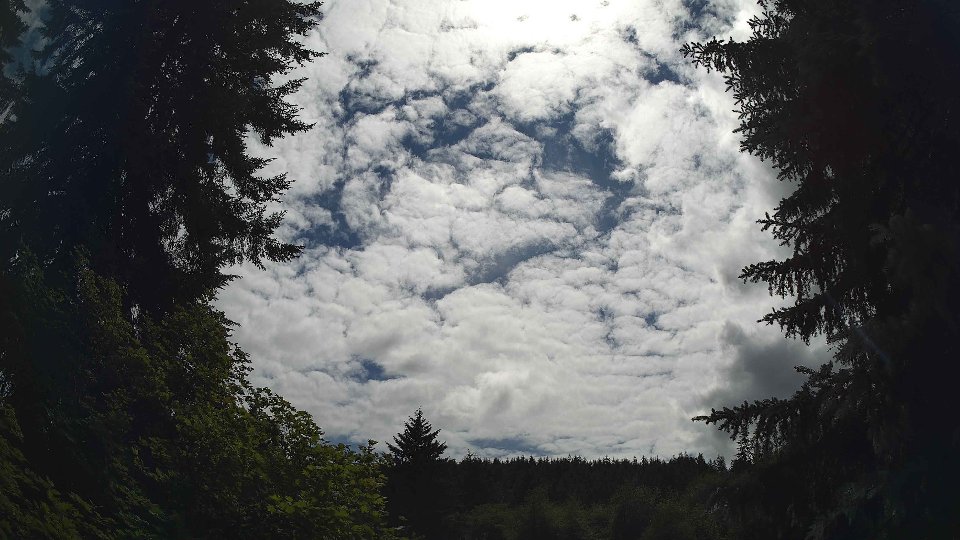 Pacific Northwest skyline timelapse frame from Jun 26th, 2026 at 3:15 PM