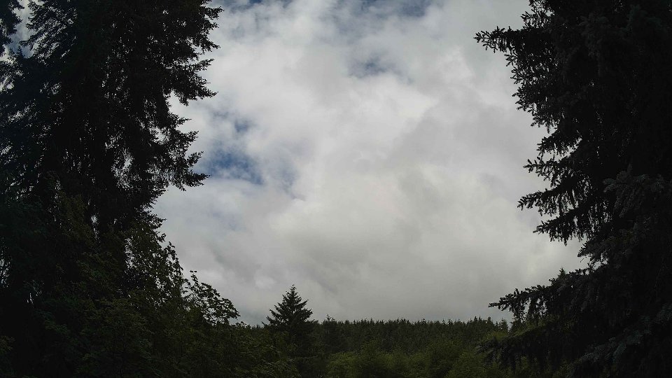 Pacific Northwest skyline timelapse frame from Jun 27th, 2026 at 11:00 AM