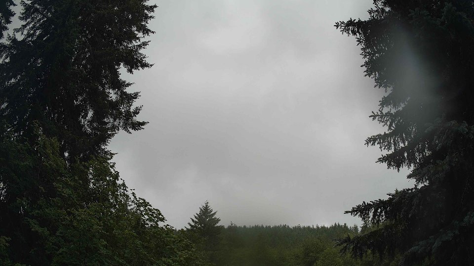 Pacific Northwest skyline timelapse frame from Jun 27th, 2026 at 12:30 PM