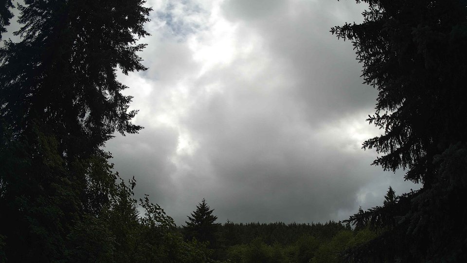 Pacific Northwest skyline timelapse frame from Jun 27th, 2026 at 5:00 PM