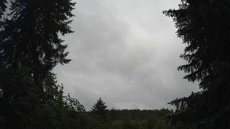 Pacific Northwest skyline timelapse frame from Jun 28th, 2026 at 9:00 AM