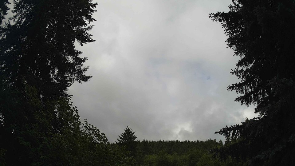 Pacific Northwest skyline timelapse frame from Jun 28th, 2026 at 10:30 AM