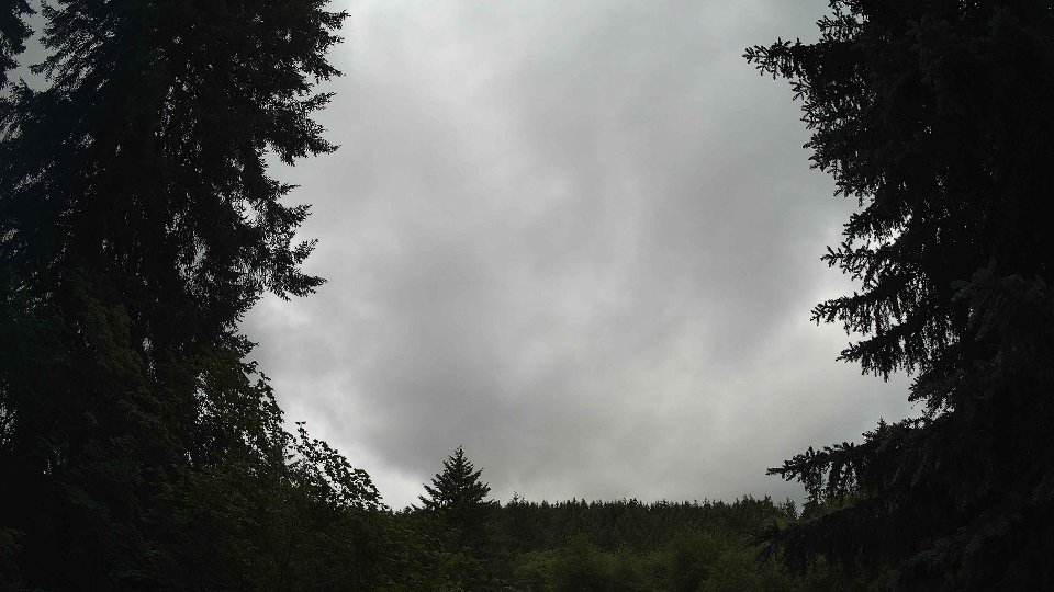 Pacific Northwest skyline timelapse frame from Jun 28th, 2026 at 11:00 AM
