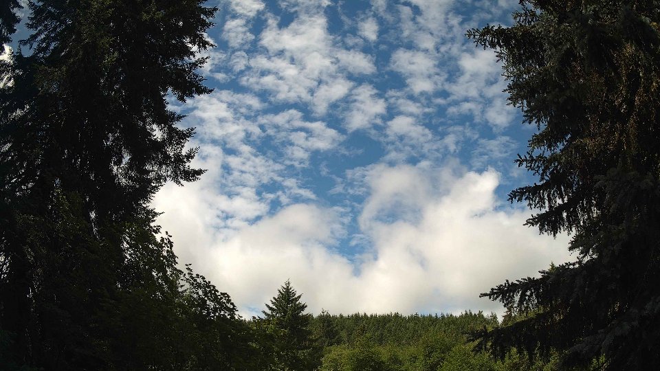 Pacific Northwest skyline timelapse frame from Jun 28th, 2026 at 11:15 AM