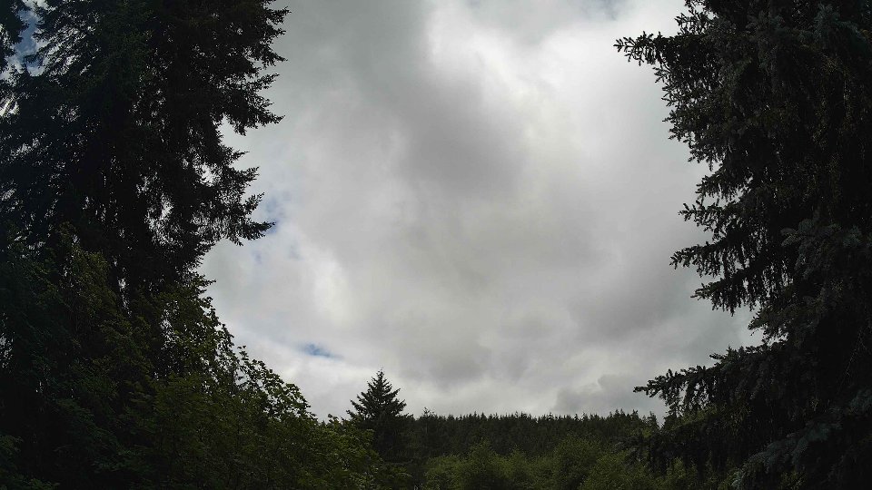 Pacific Northwest skyline timelapse frame from Jun 28th, 2026 at 11:30 AM