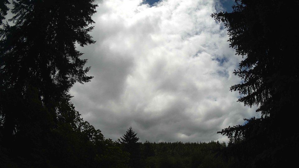 Pacific Northwest skyline timelapse frame from Jun 28th, 2026 at 2:00 PM