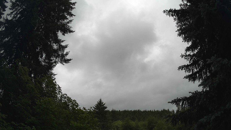 Pacific Northwest skyline timelapse frame from Jun 28th, 2026 at 3:30 PM
