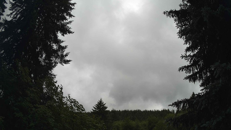 Pacific Northwest skyline timelapse frame from Jun 29th, 2026 at 11:00 AM