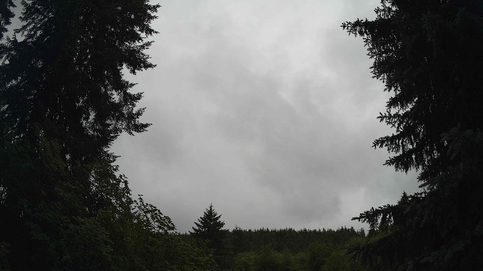 Pacific Northwest skyline timelapse frame from Jun 29th, 2026 at 11:15 AM