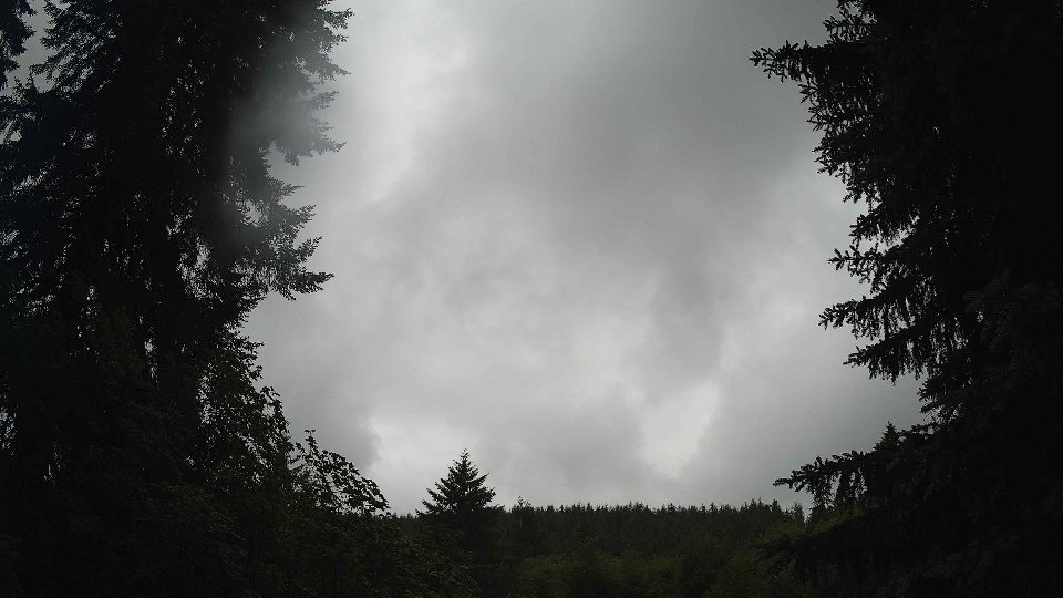 Pacific Northwest skyline timelapse frame from Jun 29th, 2026 at 12:15 PM