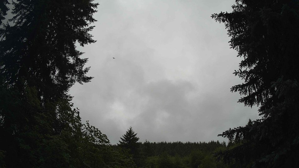 Pacific Northwest skyline timelapse frame from Jun 29th, 2026 at 12:30 PM