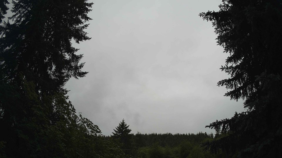 Pacific Northwest skyline timelapse frame from Jun 29th, 2026 at 1:00 PM