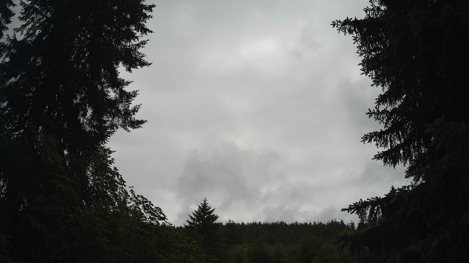 Pacific Northwest skyline timelapse frame from Jun 29th, 2026 at 1:15 PM