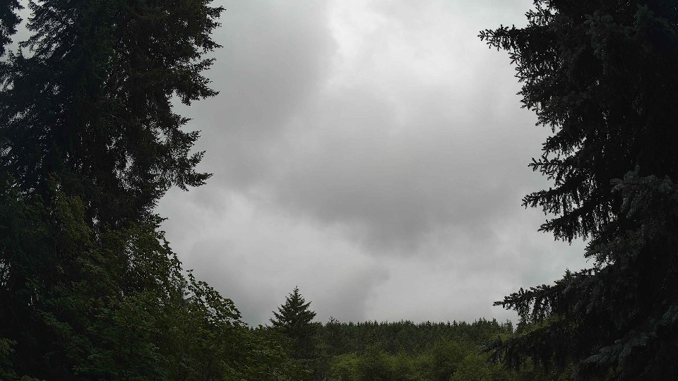 Pacific Northwest skyline timelapse frame from Jun 29th, 2026 at 1:30 PM