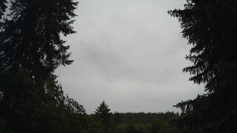Pacific Northwest skyline timelapse frame from Jun 29th, 2026 at 1:45 PM