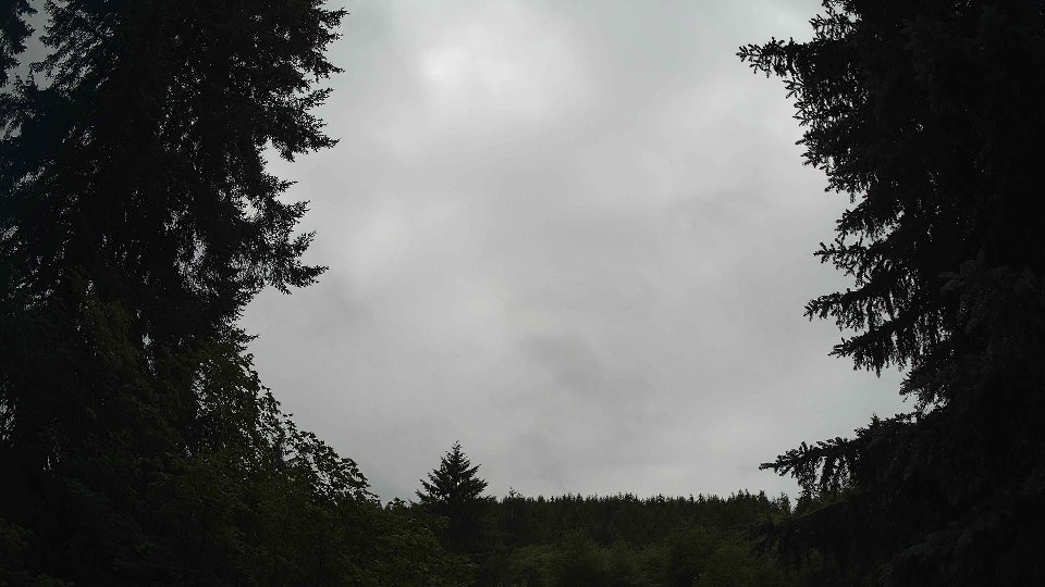 Pacific Northwest skyline timelapse frame from Jun 29th, 2026 at 2:00 PM