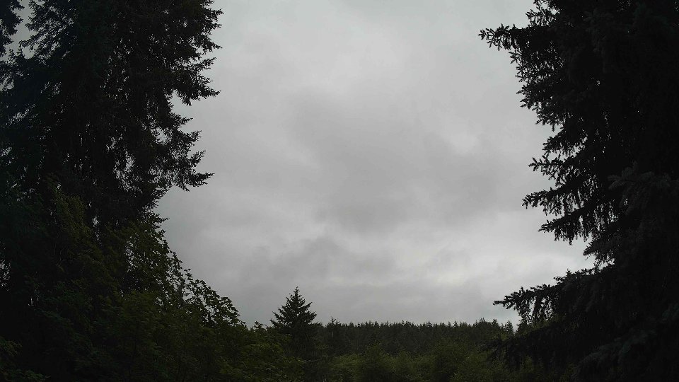 Pacific Northwest skyline timelapse frame from Jun 29th, 2026 at 2:30 PM
