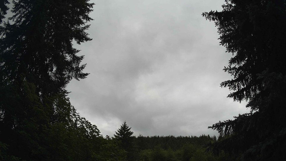 Pacific Northwest skyline timelapse frame from Jun 29th, 2026 at 2:45 PM