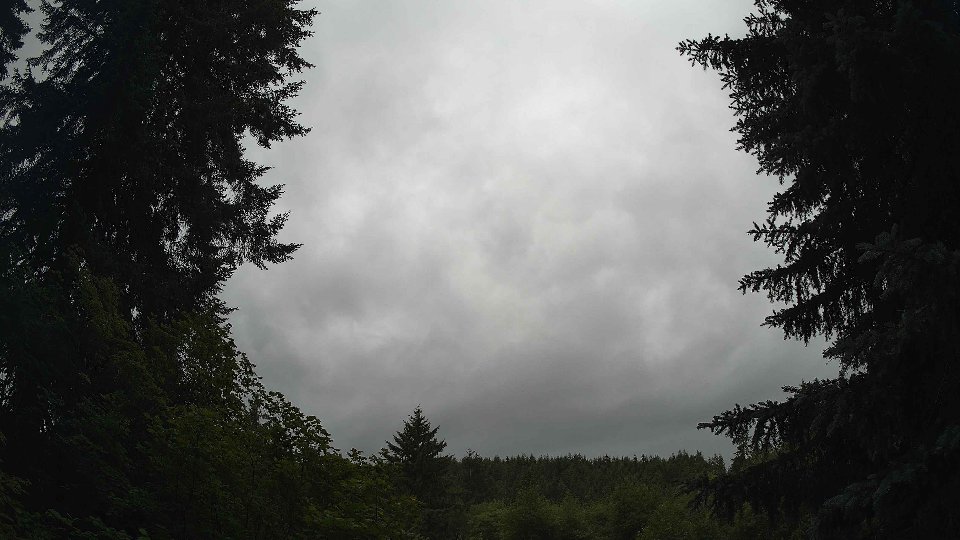 Pacific Northwest skyline timelapse frame from Jun 29th, 2026 at 4:30 PM