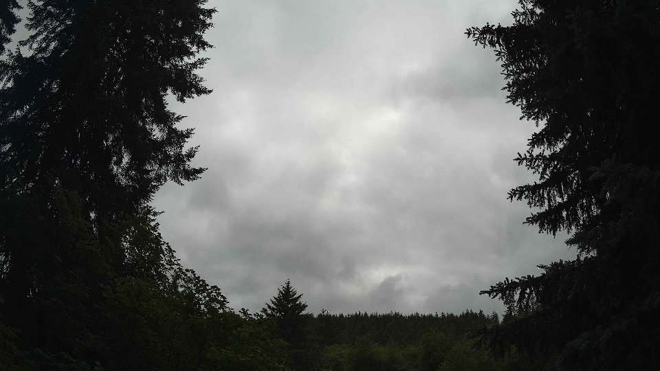 Pacific Northwest skyline timelapse frame from Jun 29th, 2026 at 5:30 PM