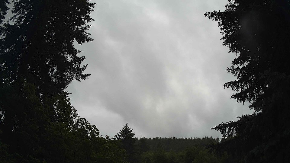 Pacific Northwest skyline timelapse frame from Jun 29th, 2026 at 8:00 PM