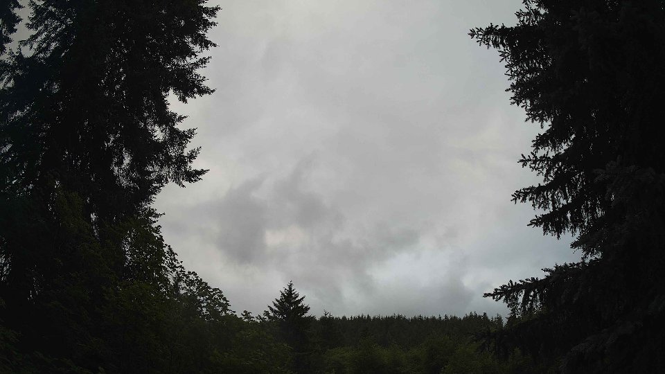 Pacific Northwest skyline timelapse frame from Jun 29th, 2026 at 8:15 PM