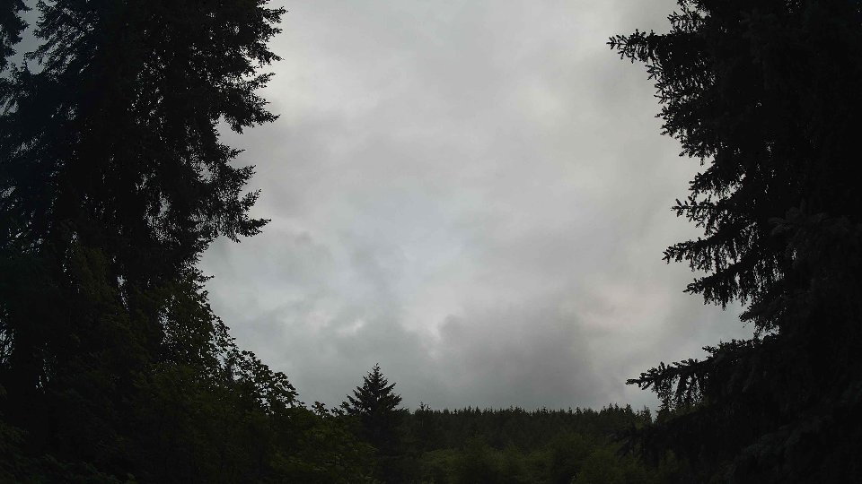 Pacific Northwest skyline timelapse frame from Jun 29th, 2026 at 8:30 PM