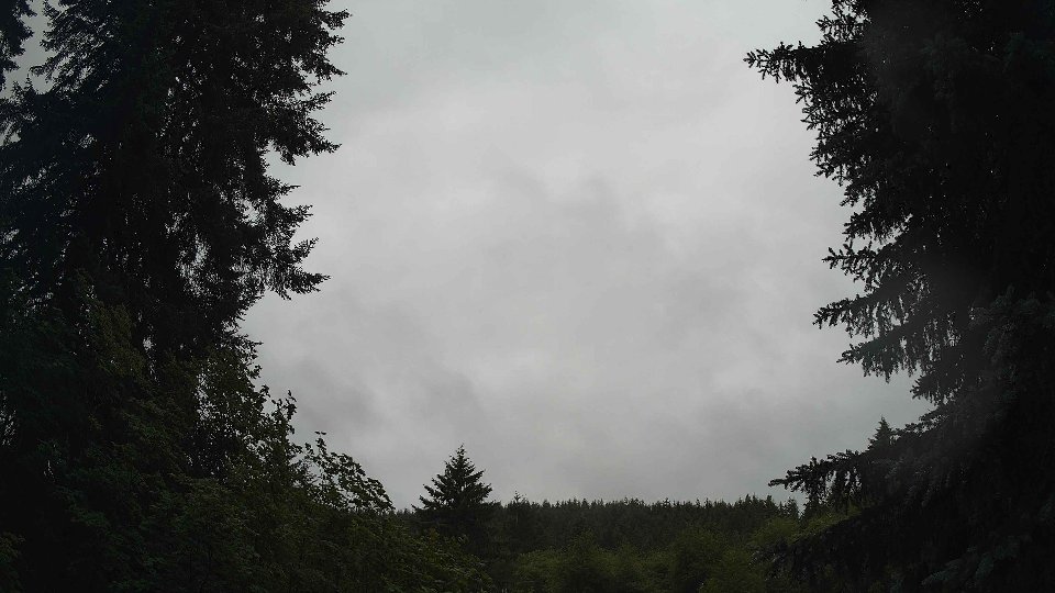 Pacific Northwest skyline timelapse frame from Jun 30th, 2026 at 10:00 AM