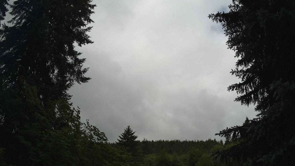 Pacific Northwest skyline timelapse frame from Jun 30th, 2026 at 10:30 AM