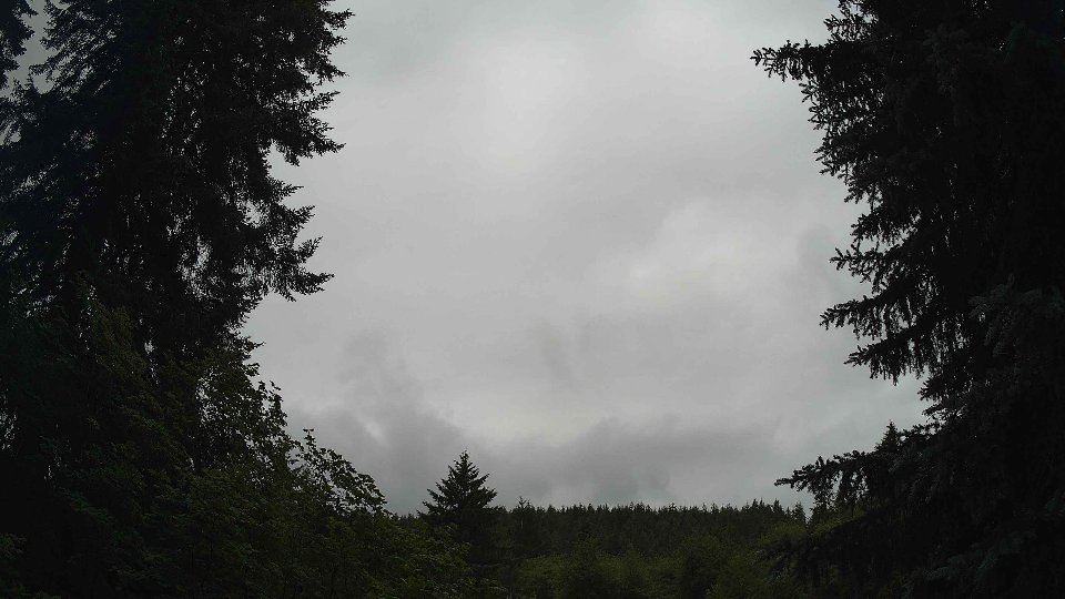 Pacific Northwest skyline timelapse frame from Jun 30th, 2026 at 11:00 AM