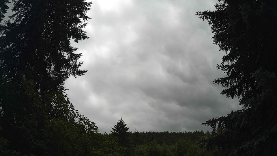 Pacific Northwest skyline timelapse frame from Jun 30th, 2026 at 12:30 PM
