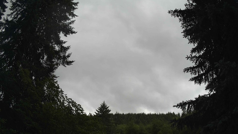 Pacific Northwest skyline timelapse frame from Jun 30th, 2026 at 12:45 PM