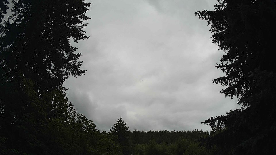 Pacific Northwest skyline timelapse frame from Jun 30th, 2026 at 1:00 PM