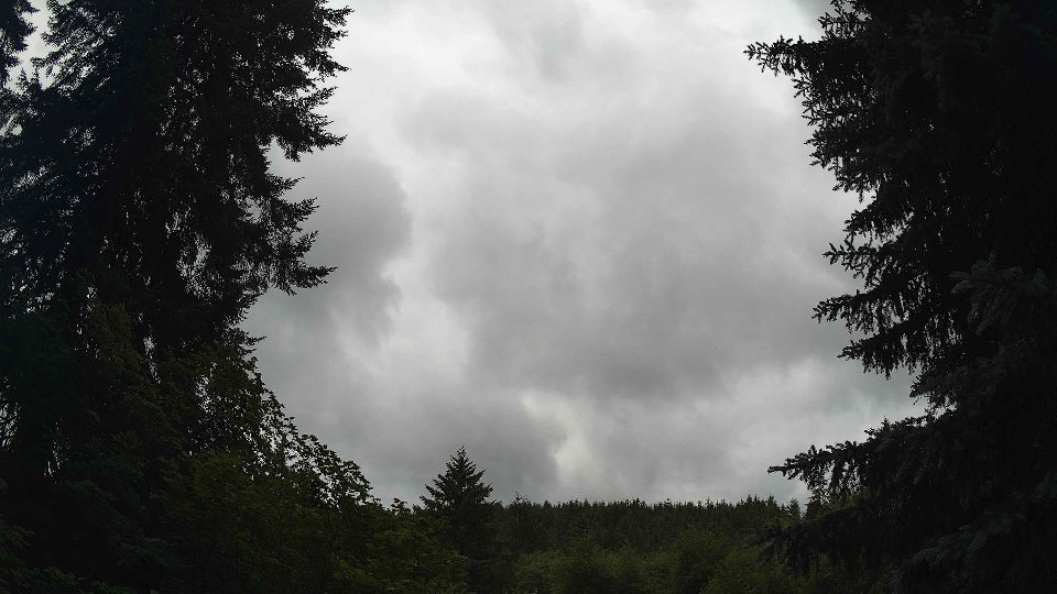 Pacific Northwest skyline timelapse frame from Jun 30th, 2026 at 1:15 PM