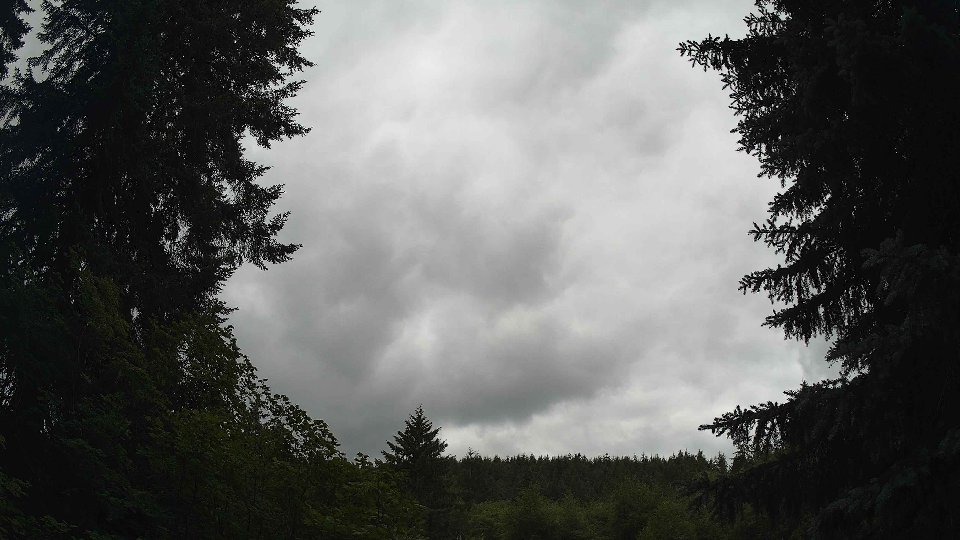 Pacific Northwest skyline timelapse frame from Jun 30th, 2026 at 1:30 PM