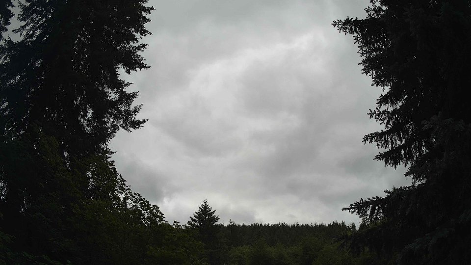 Pacific Northwest skyline timelapse frame from Jun 30th, 2026 at 2:00 PM