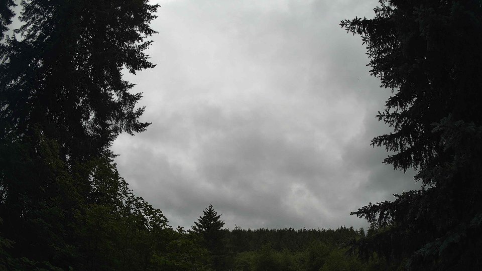 Pacific Northwest skyline timelapse frame from Jun 30th, 2026 at 2:30 PM