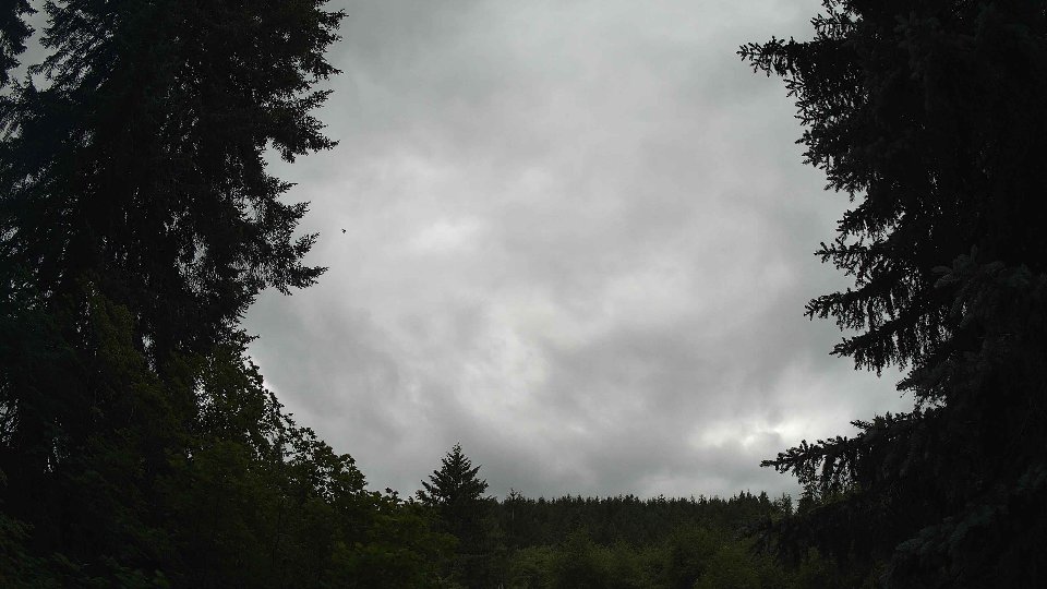 Pacific Northwest skyline timelapse frame from Jun 30th, 2026 at 3:00 PM