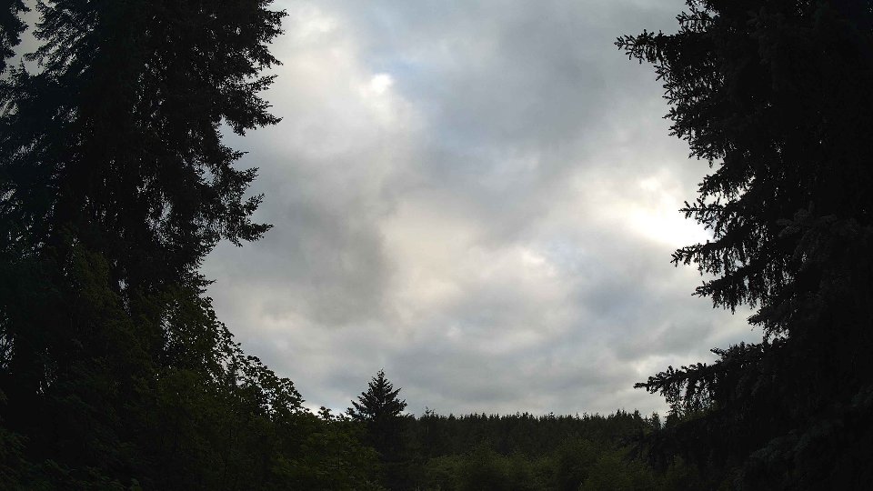 Pacific Northwest skyline timelapse frame from Jun 30th, 2026 at 7:30 PM