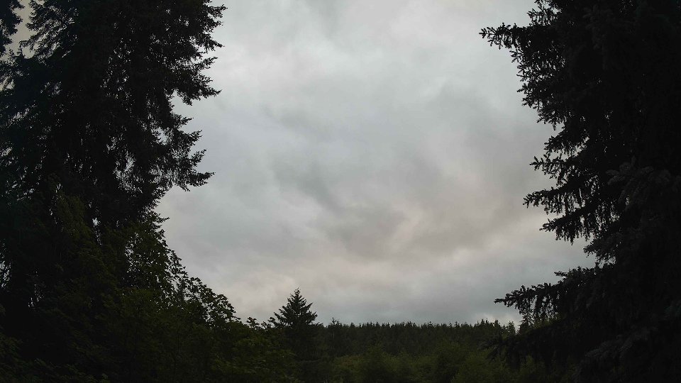 Pacific Northwest skyline timelapse frame from Jun 30th, 2026 at 8:15 PM