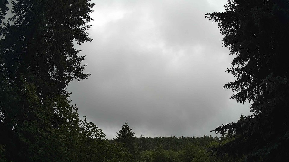 Pacific Northwest skyline timelapse on Jul 01, 2026 at 10:30 AM